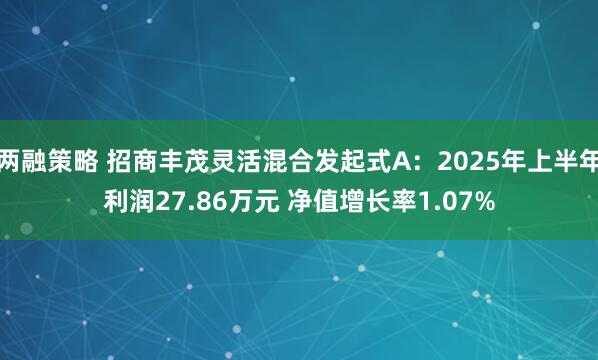 两融策略 招商丰茂灵活混合发起式A：2025年上半年利润27.86万元 净值增长率1.07%