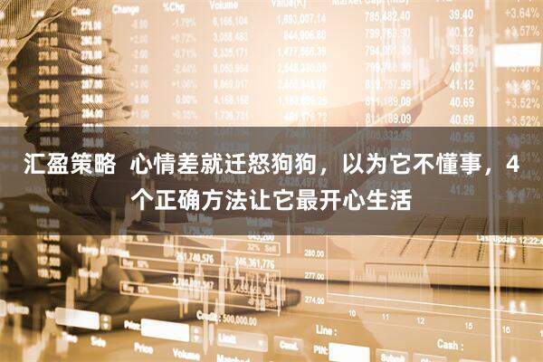 汇盈策略  心情差就迁怒狗狗，以为它不懂事，4个正确方法让它最开心生活
