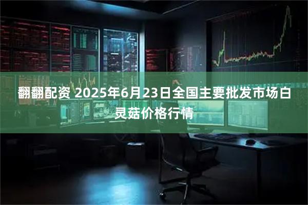 翻翻配资 2025年6月23日全国主要批发市场白灵菇价格行情
