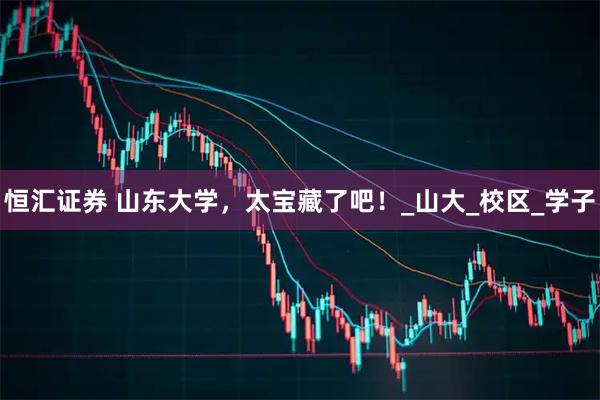 恒汇证券 山东大学，太宝藏了吧！_山大_校区_学子